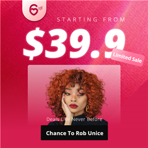 $39.9 Wig Limited Sale